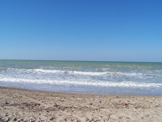 Mostra contro l’inquinamento dell’Adriatico Mostra contro l’inquinamento dell’Adriatico