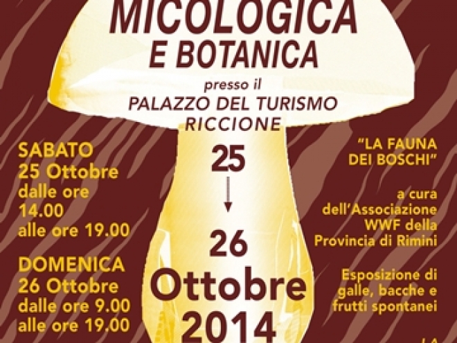 Mostra micologica e botanica