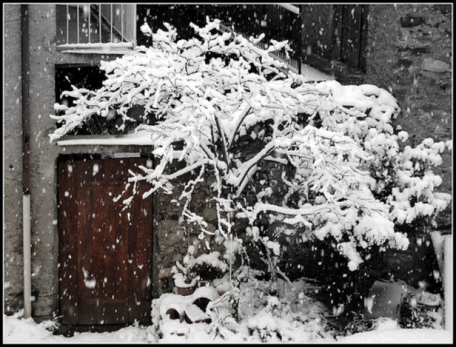 Neve in Campigna Neve in Campigna
