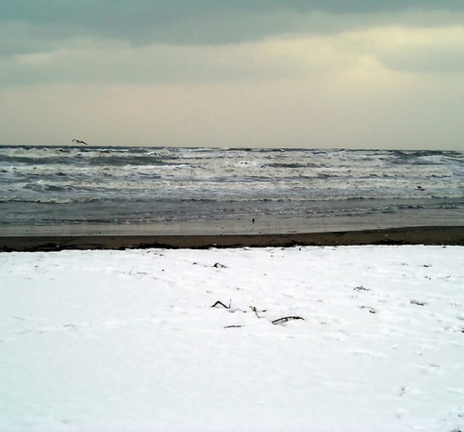 Neve Rimini Neve Rimini