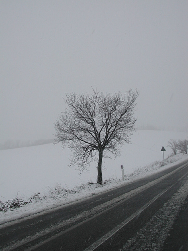 Nevicata Ancona Nevicata Ancona
