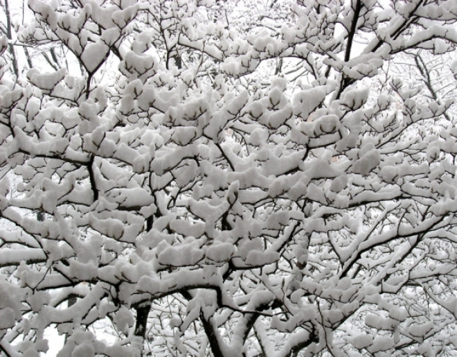 Nevicata Pesaro Urbino Nevicata Pesaro Urbino