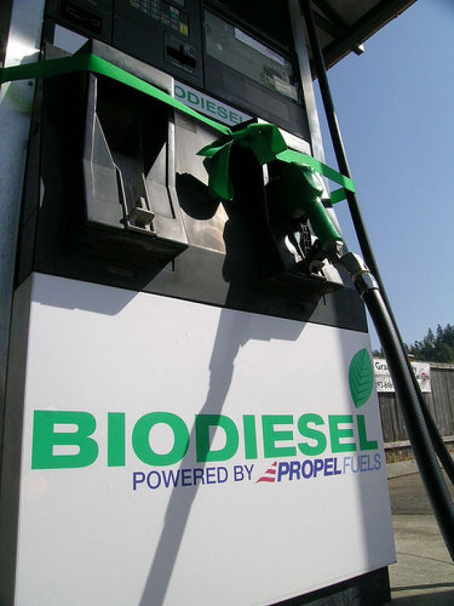 Progetto Novaol Biodiesel Porto Corsini Progetto Novaol Biodiesel Porto Corsini