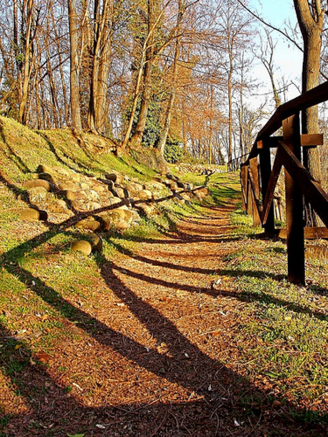 Progetto Parco della Musica Progetto Parco della Musica