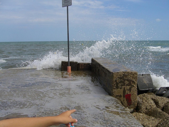 Progetto Radici a Riccione Progetto Radici a Riccione