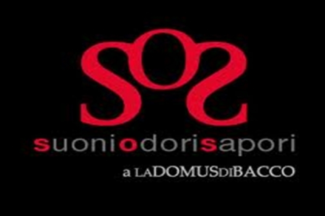 Ricciardelli La Domus Di Bacco Rimini Ricciardelli La Domus Di Bacco Rimini