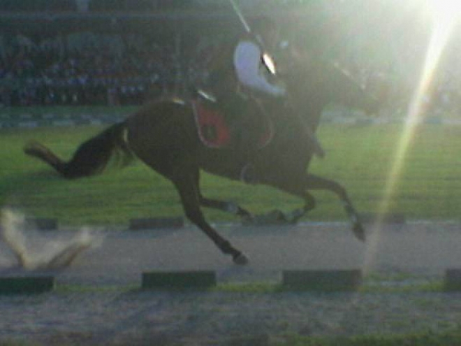 Rione Bianco Palio Faenza Rione Bianco Palio Faenza