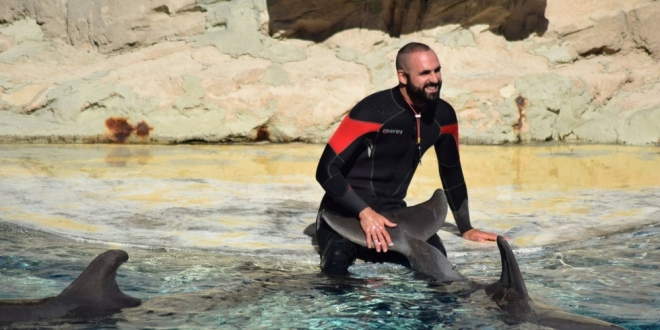 Romagna parchi acquatici: Oltremare Riccione e Acquario Cattolica