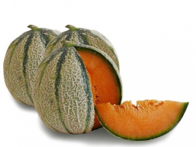 Sagra del Melone Misano Adriatico Sagra del Melone Misano Adriatico