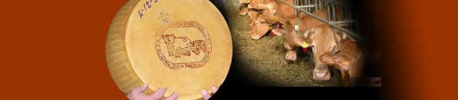 Sale dolce di Cervia e Parmigiano Reggiano Vacche Rosse Sale dolce di Cervia e Parmigiano Reggiano Vacche Rosse
