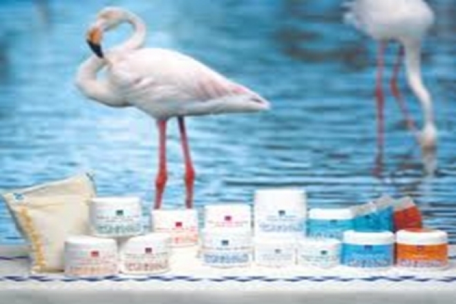 Salimbeni Progetti Cervia Salimbeni Progetti Cervia