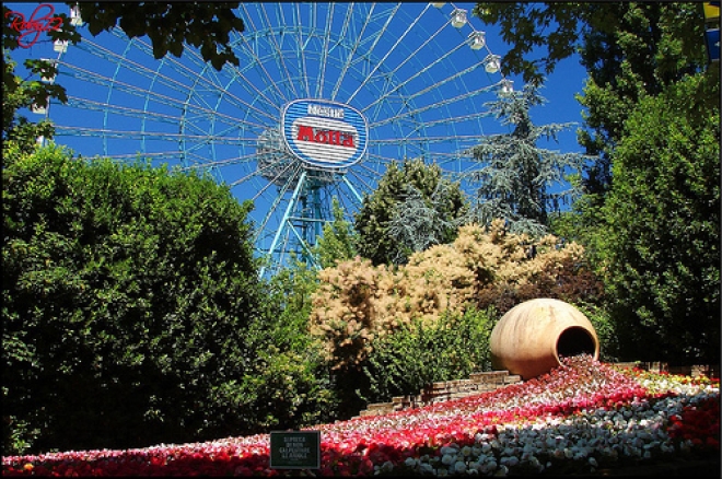 Sconto del 50 % a Mirabilandia Sconto del 50 % a Mirabilandia