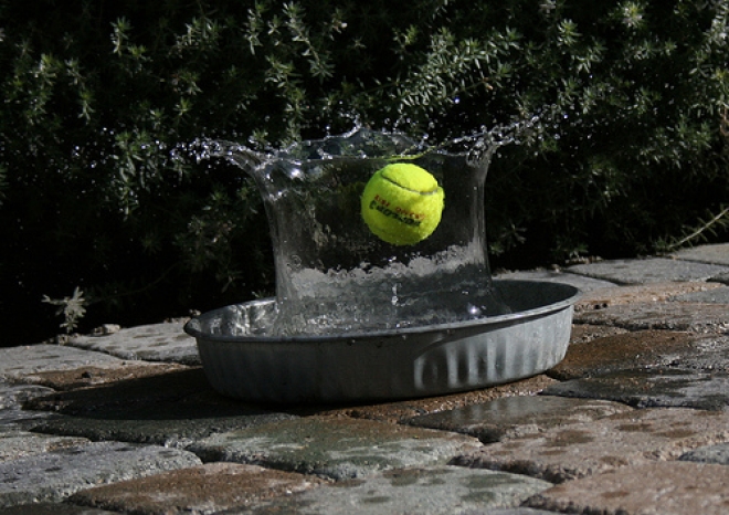 MILANO MARITTIMA - Da sedici anni chiama a raccolta sui campi da tennis le star di tv, sport e spettacolo. Torna il Vip Master Tennis, da oggi a sabato al Circolo Tennis di Milano Marittima. MILANO MARITTIMA - Da sedici anni chiama a raccolta sui campi da tennis le star di tv, sport e spettacolo. Torna il Vip Master Tennis, da oggi a sabato al Circolo Tennis di Milano Marittima.