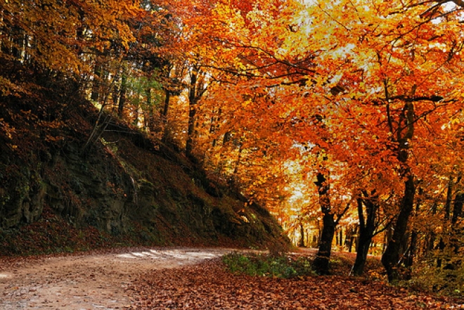 Unione dei Comuni Acquacheta Romagna Toscana Unione dei Comuni Acquacheta Romagna Toscana