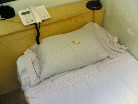 Hotel Giorgio Cervia Hotel Giorgio Cervia