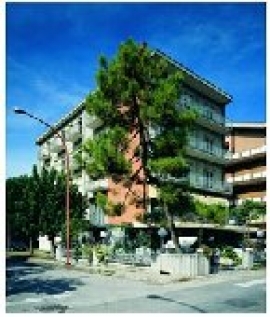 Hotel Madison Cervia