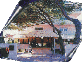 Hotel Volturno Cervia Hotel Volturno Cervia