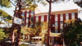 Hotel Crystal Milano Marittima Hotel Crystal Milano Marittima