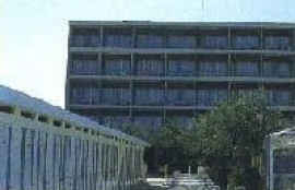 Hotel Miami Milano Marittima Hotel Miami Milano Marittima