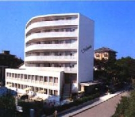 Hotel Solemare Milano Marittima