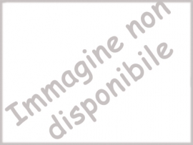 Hotel Grune Perle Riccione Hotel Grune Perle Riccione