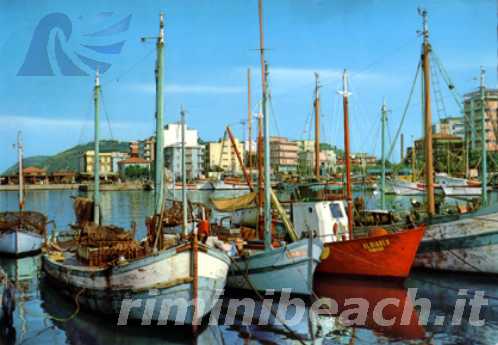 Cattolica - Barche