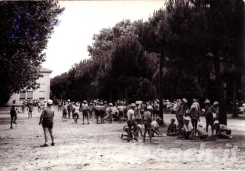 Gli Alberghi a Misano