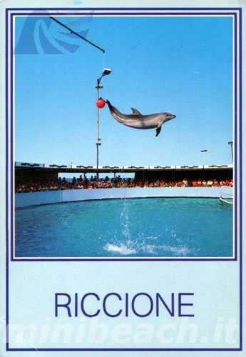 Delfinario Riccione