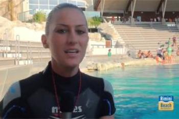 Video Addestramento Delfini Oltremare